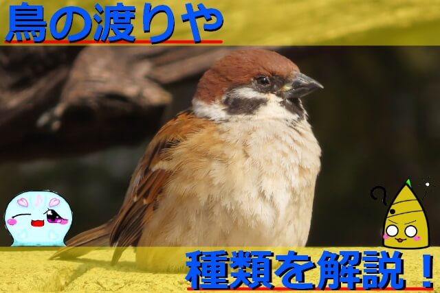 Thumbnail of post image 163